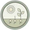 Efficiency: innovative agroecological practices produce more using less external resources.