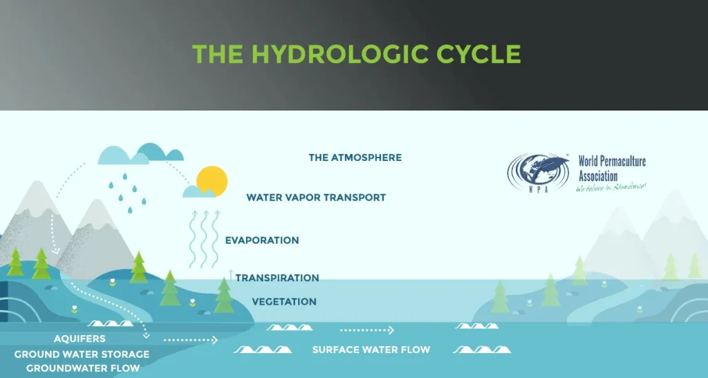 Illustrative diagram of the Hydrologic Cycle showing the continuous movement of water through the atmosphere, surface, and groundwater, emphasizing permaculture principles.