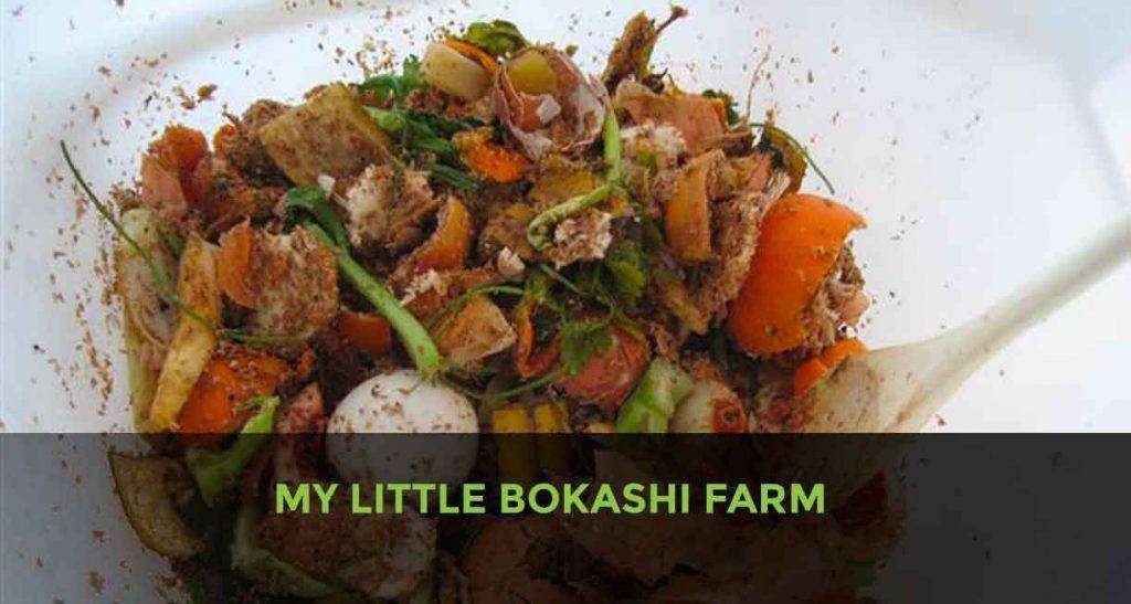 Bokashi composting setup. Bokashi is a method of composting that uses a specific strain of bacteria to ferment kitchen waste, including meat and dairy, into a soil amendment. The contents shown in the image are typical for a Bokashi bucket, which includes a mixture of food scraps that are breaking down. This method is appreciated for its speed and its ability to compost a wider range of materials compared to traditional composting methods.