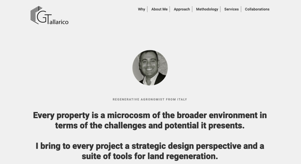 Website giuseppetallarico.com